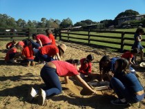 Arqueologia