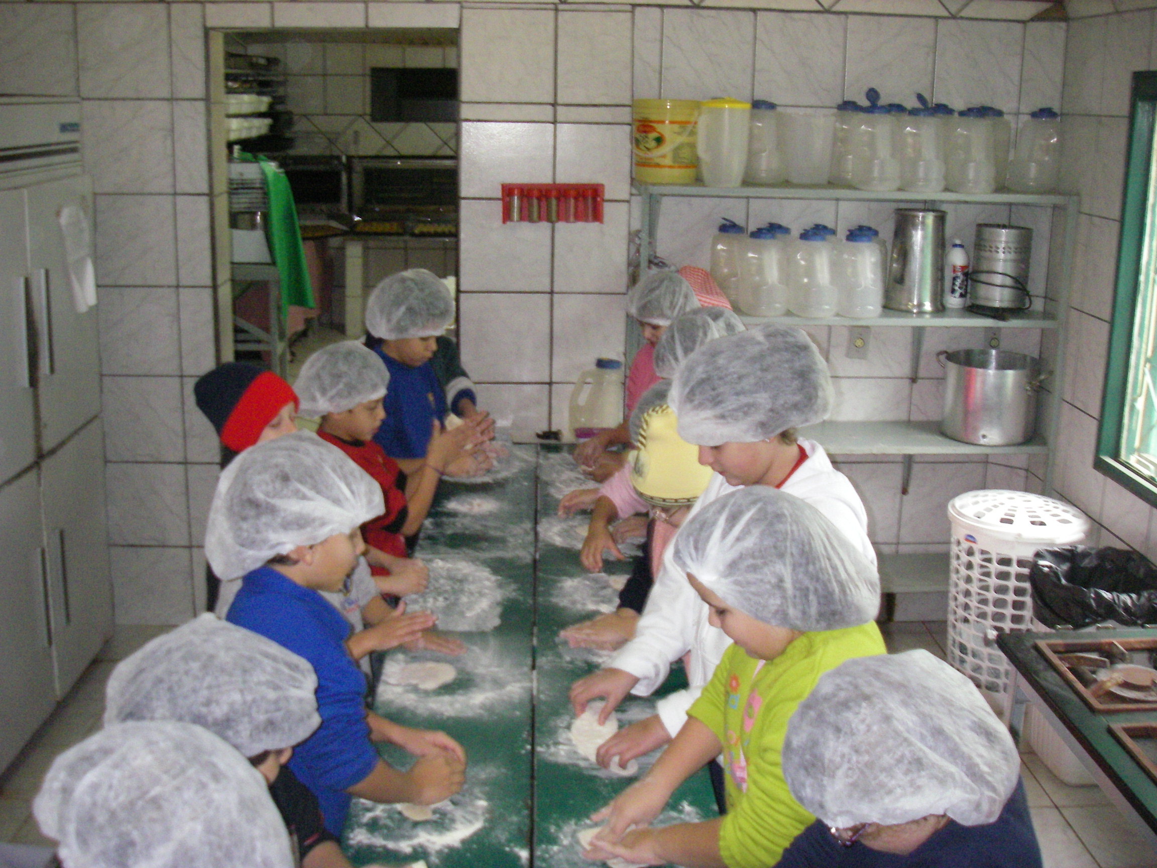Programa da Alimentação Saudável Programas por Níveis Educacionais: Programa da Alimentação Saudável