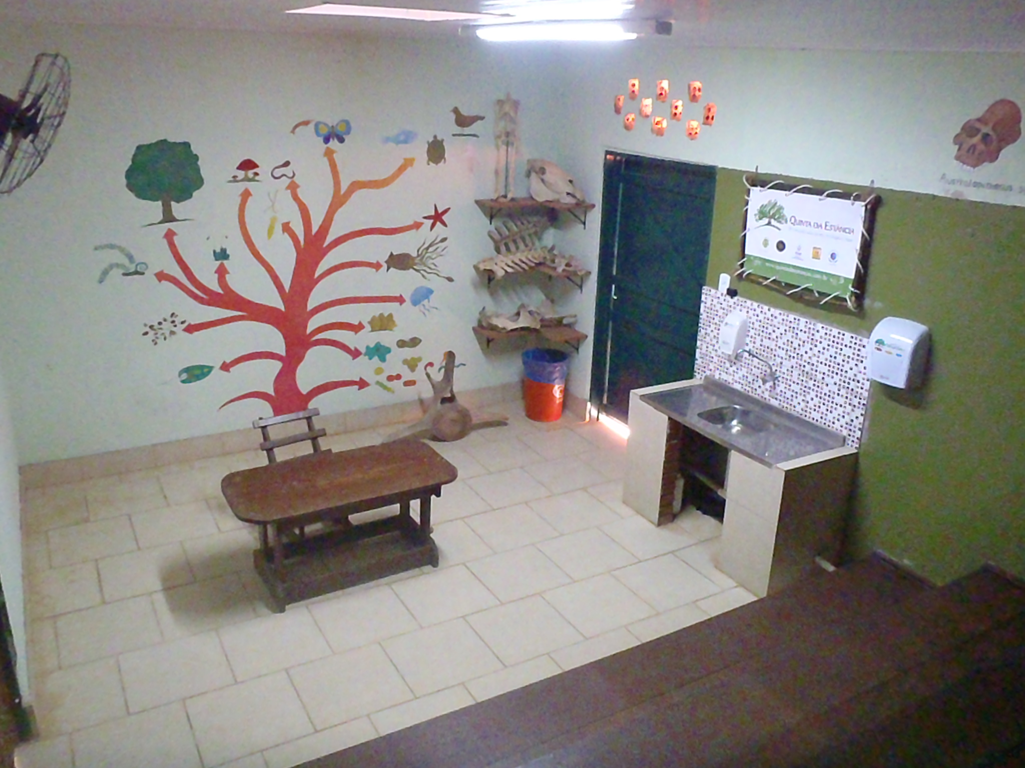 Sala de Aula dos Seres Vivos Programas por Níveis Educacionais: Sala de Aula dos Seres Vivos