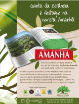 Revista AMANHÃ - 500 maiores