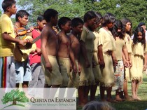 Programa dos Povos Indígenas
