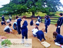 Programa Arqueologia e Paleontologia