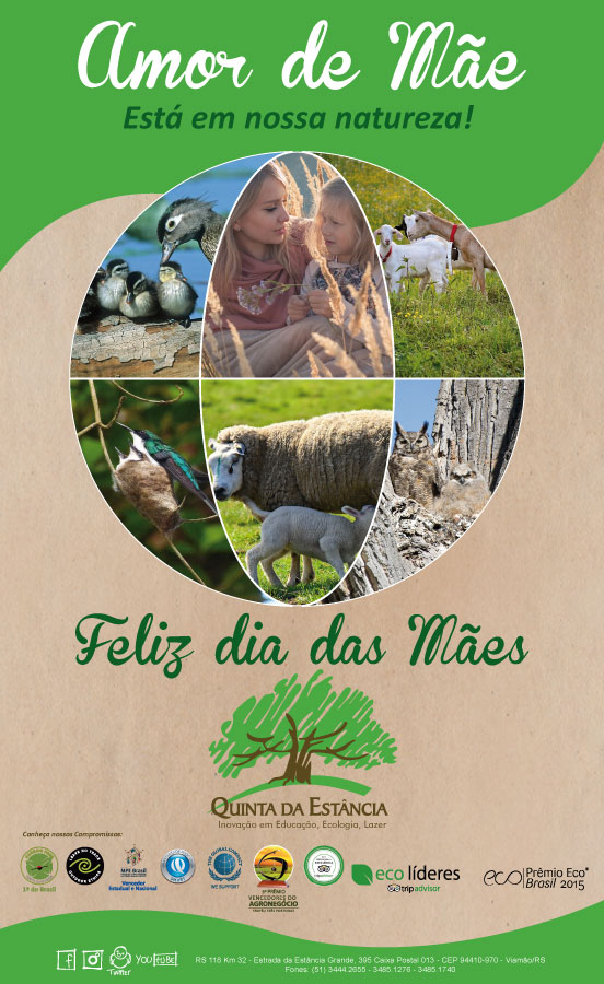 Dia das Mães