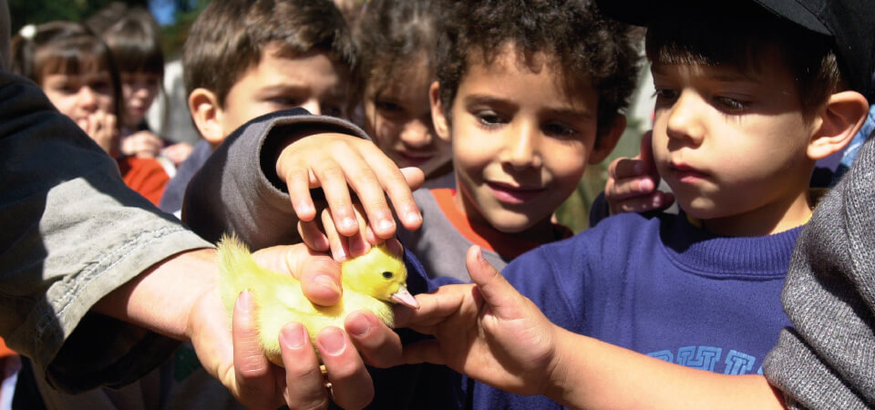 Instituições de Ensino: Escolas