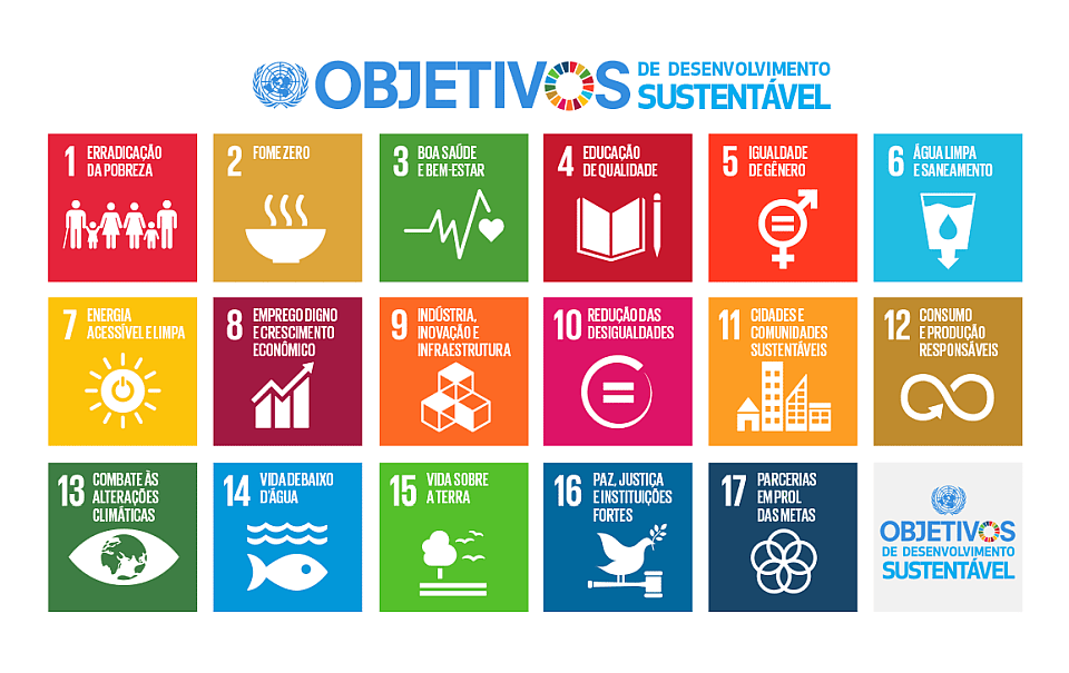 Programa Objetivos de Desenvolvimento Sustentável (ODS - ONU)